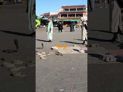 ساحة جامع الفنا بمراكش