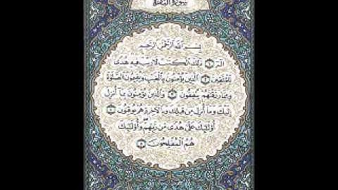 أحمد سعيد العمراني سورة البقره