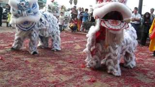 phi long 2010 lion dance (part 4)