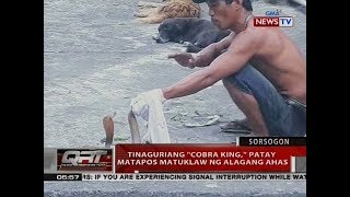 QRT: Tinaguriang 'cobra king,' patay matapos matuklaw ng alagang ahas