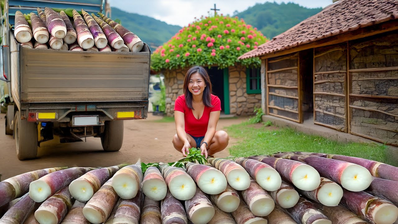 REWIND TIMELAPSE – Buying 1000+ kg Bamboo Shoots and Palm Tubers from Villagers Goes to Market Sell
