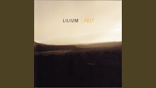 Lily Pool - Lilium
