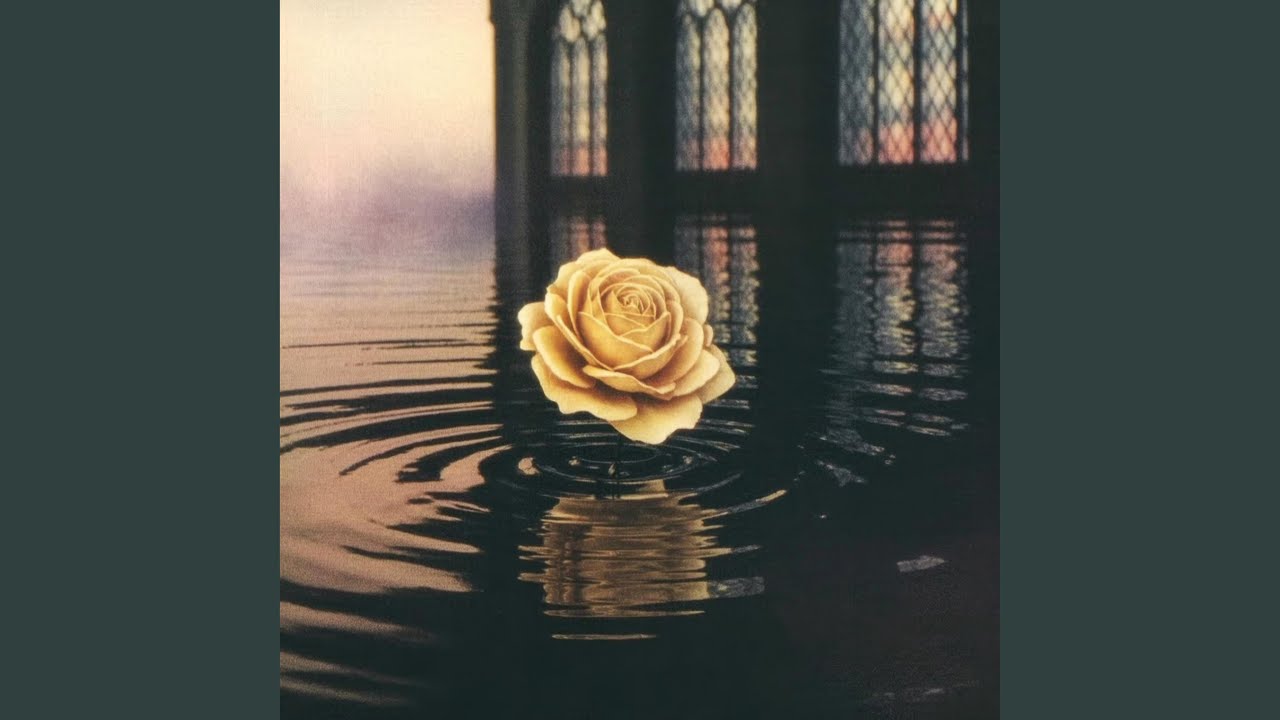 Rose on Still Water - YouTube