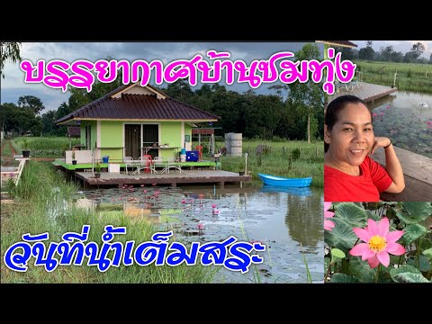 บ้านชมทุ่ง..ริมสระน้ำ..ในวันที่น้ำเต็มสระ...