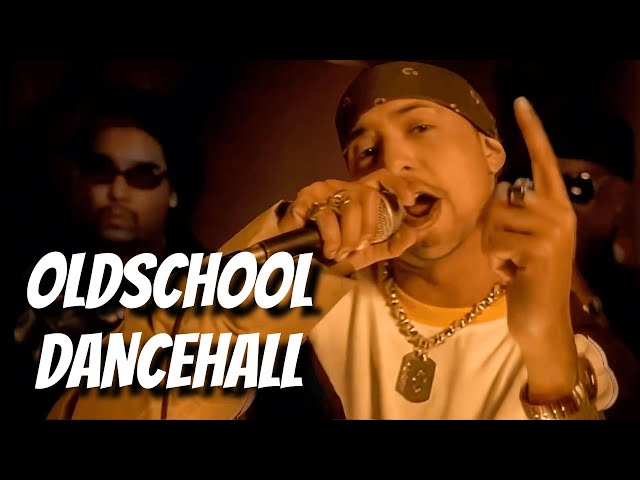 DJ NiiDO - OLDSCHOOL DANCEHALL RAGGA MIX: Sean Paul Shabba Ranks Buju Beenie Man T.O.K | 90s 2000s class=