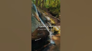 شهد عليهم سمعهم وأبصارهم وجلودهم | محمد عبادة قران من سورة فصلت #قران_كريم #راحة_نفسية #المصحف