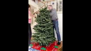 Christmas 2014 tree trimming time-lapse. 23 seconds.