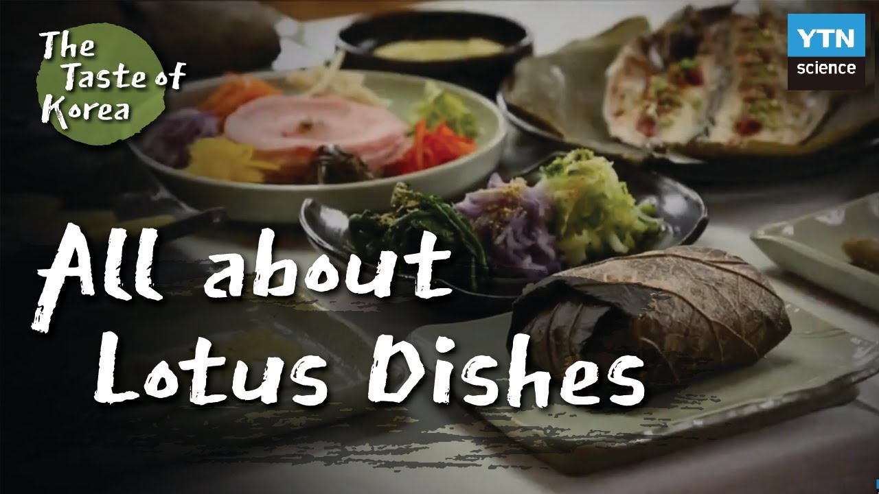 [The Taste of Korea] 03 Lotus Dishes, All about Lotus Flowers, Roots