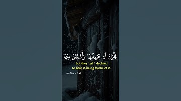 تلاوة خاشعة ومؤثرة جداً تخشع لها القلوب. #مسلم #اكسبلور #المصحف #الرقية_الشرعية #القرآن_الكريم