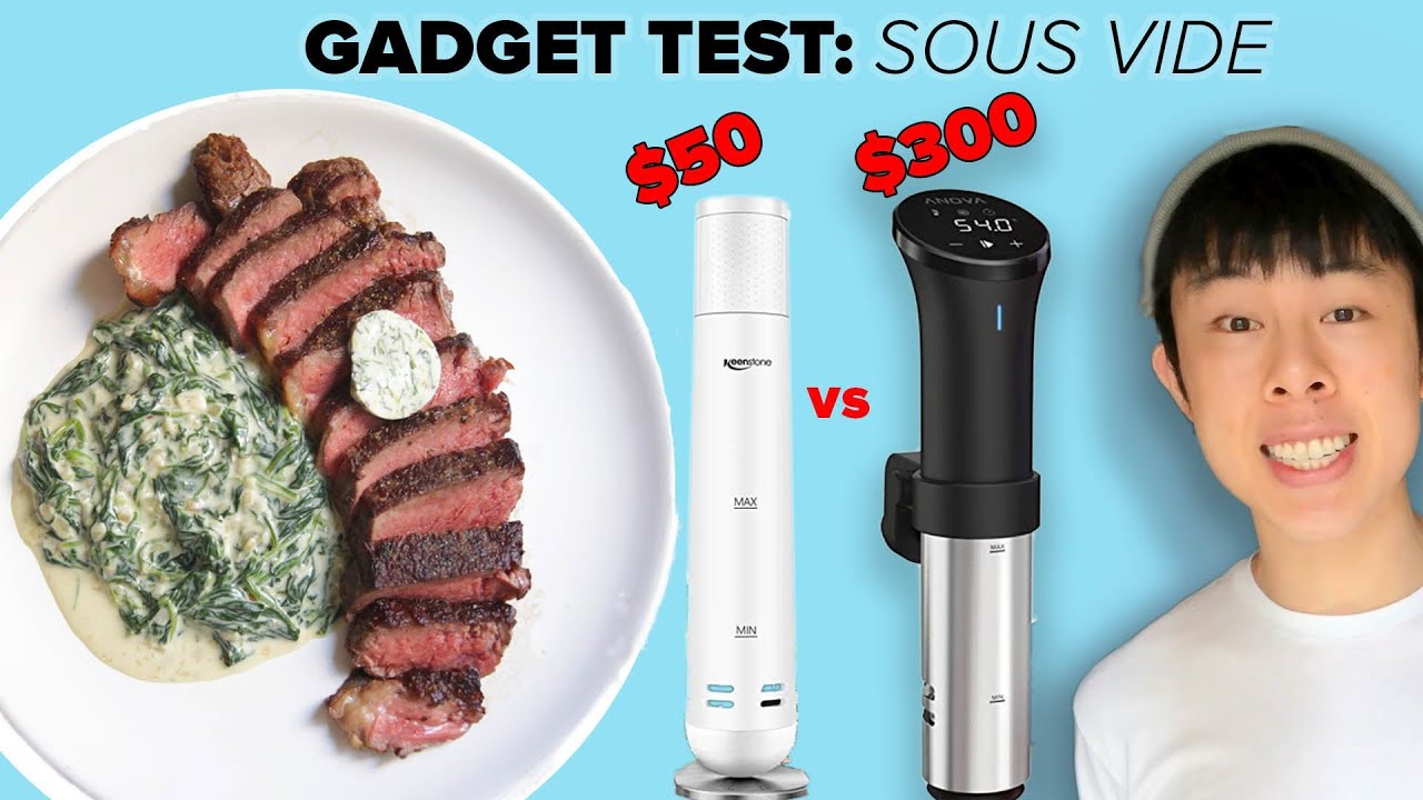 I Compared $50 and $300 Sous Vide Machines With Steak  Tasty