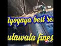 Nyogaya Best remix