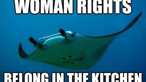 Xiukai ranked chef win. Eternal Return. Smite sucks route.