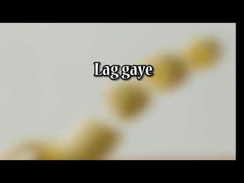 laude-lag-gaye-song-new-male-version