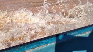 Trip To Pulau Suri Berasama k.nor @PK HEM 2020 HPL(2)