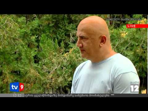 ახალი 12 | აუდიტი ტელევიზიაში | 12.07.12