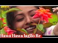 Hawa hawa lagilo re full  by zubeen garg 