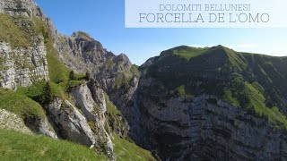 Val Canzoi - Forcella de l'Om // Dolomiti Bellunesi