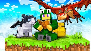 Minecraft School - How to Tame a Dragon!