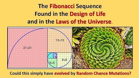 The Fibonacci Sequence in Life