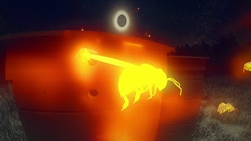 How animals react to a solar eclipse