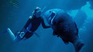 主人公の少女が巨大な青い魚と海中で戯れるシーンは必見／映画『ブルーバック あの海を見ていた』予告編