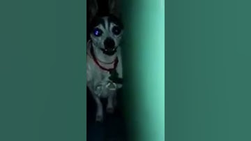 Hola Juan Carlo, te voy a matar chupa p*ja