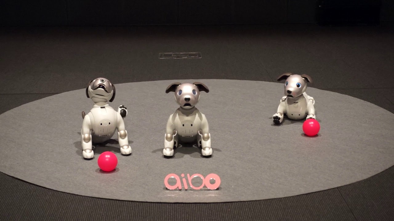 ソニーのロボット犬 Aibo 復活 心のつながりをもつエンタメロボ 19 8万円 Av Watch