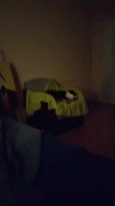youtube.com