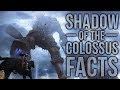 10 Shadow of The Colossus Facts You Probably Didn't Know