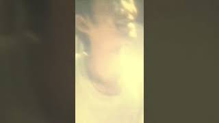 フィッシュマンズ - MY LIFE［Official Short MV］#Shorts