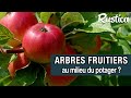 Est-il possible de planter des arbres fruitiers dans un potager ?