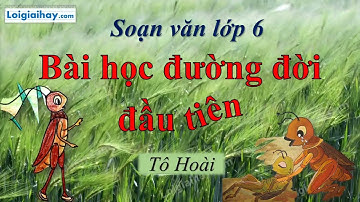 Soạn bài Bài học đường đời đầu tiên SGK Ngữ văn 6 tập 1 CTST