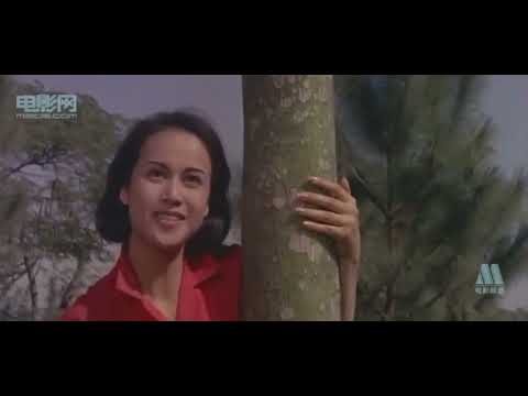 美黛 (Mei Tai) - 我在你左右 (I'm By Your Side)