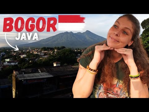 Video: Toraja, Indoneesia: mida enne minekut teada