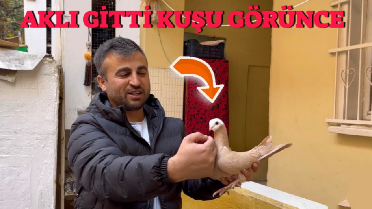 Emire Hediye Güvercin Aldım ( Verdiğim Sözü Tuttum )