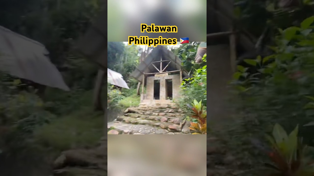 Hiking through the jungle to Bigaho Falls, San Vicente 🇵🇭 