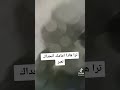 شايل وين يل باسمك يحلفون