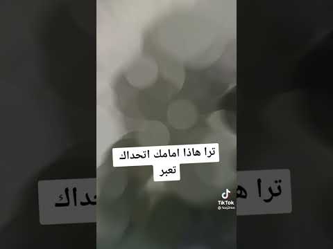 شايل وين يل باسمك يحلفون