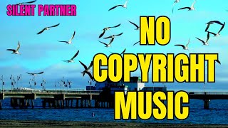 Desert Sky – Silent Partner (No Copyright Music) VlogMusic NoCopyrightMusic Audio