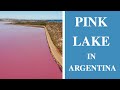 Pink lake  newstamilonline