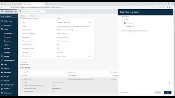 Commvault V11 - To run a manual file system backup