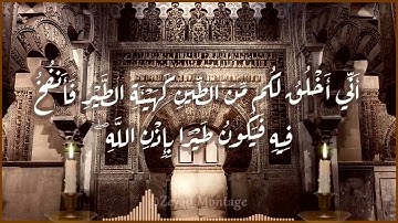 تلاوة خاشعة جداا … الشيخ سعود الشريم