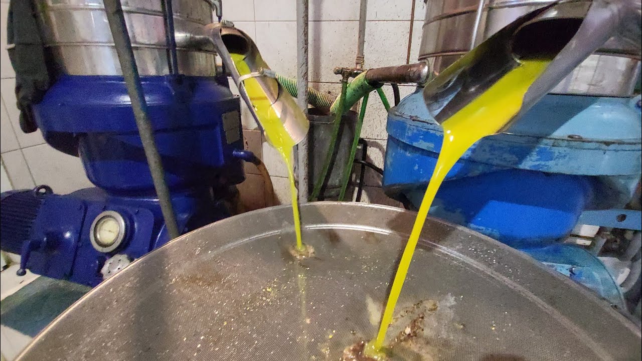 τρία δέκατα οξύτητα λάδι βγάλαμε φέτος