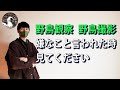 野鳥観察・野鳥撮影 嫌なこと言われた時に見てください。