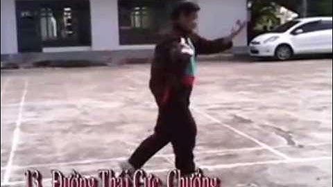 Dạy Võ Thiếu Lâm - THÁI CỰC QUYỀN, THÁI CỰC CHƯỞNG:13  Đường Lang Thái Cực Chưởng