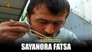 'Sayanora Fatsa' Belgeseli