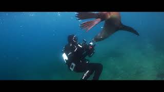 Partenariat Reservoir Watches & Greg Lecoeur - Antartica