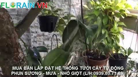 Lắp đặt bộ hệ thống tưới cây tự động tưới lan, cây cảnh trên sân thượng nhà phố Florain