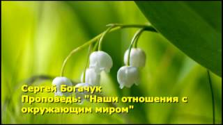 17 Сергей Богачук - Проповедь: "Наши отношения с окружающим миром"