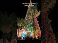Christmas #christmas  #kruthikatk #ಕೃತಿಕಾಟಿಕೇ @fufupanda